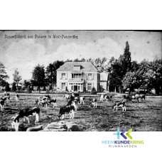 Pannerden West Doornenburg (13)